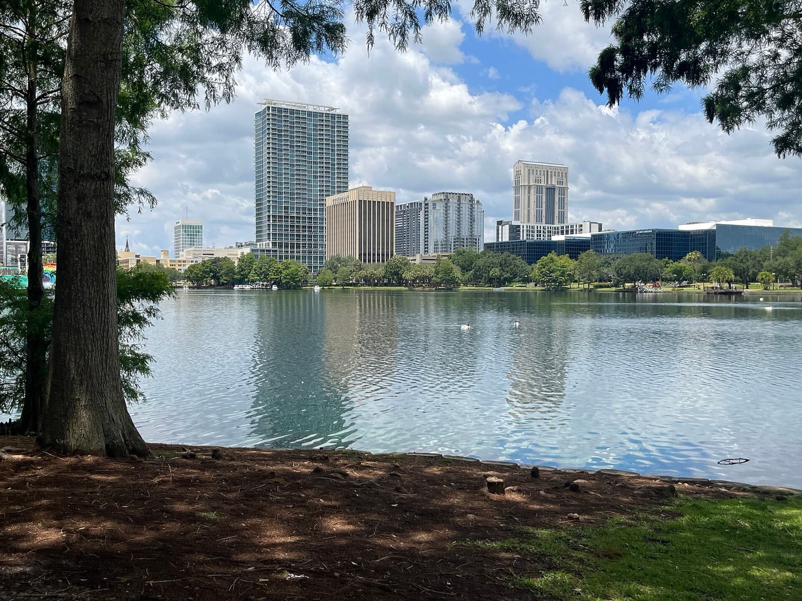 Lake Eola and the downtown Orlando skyline.