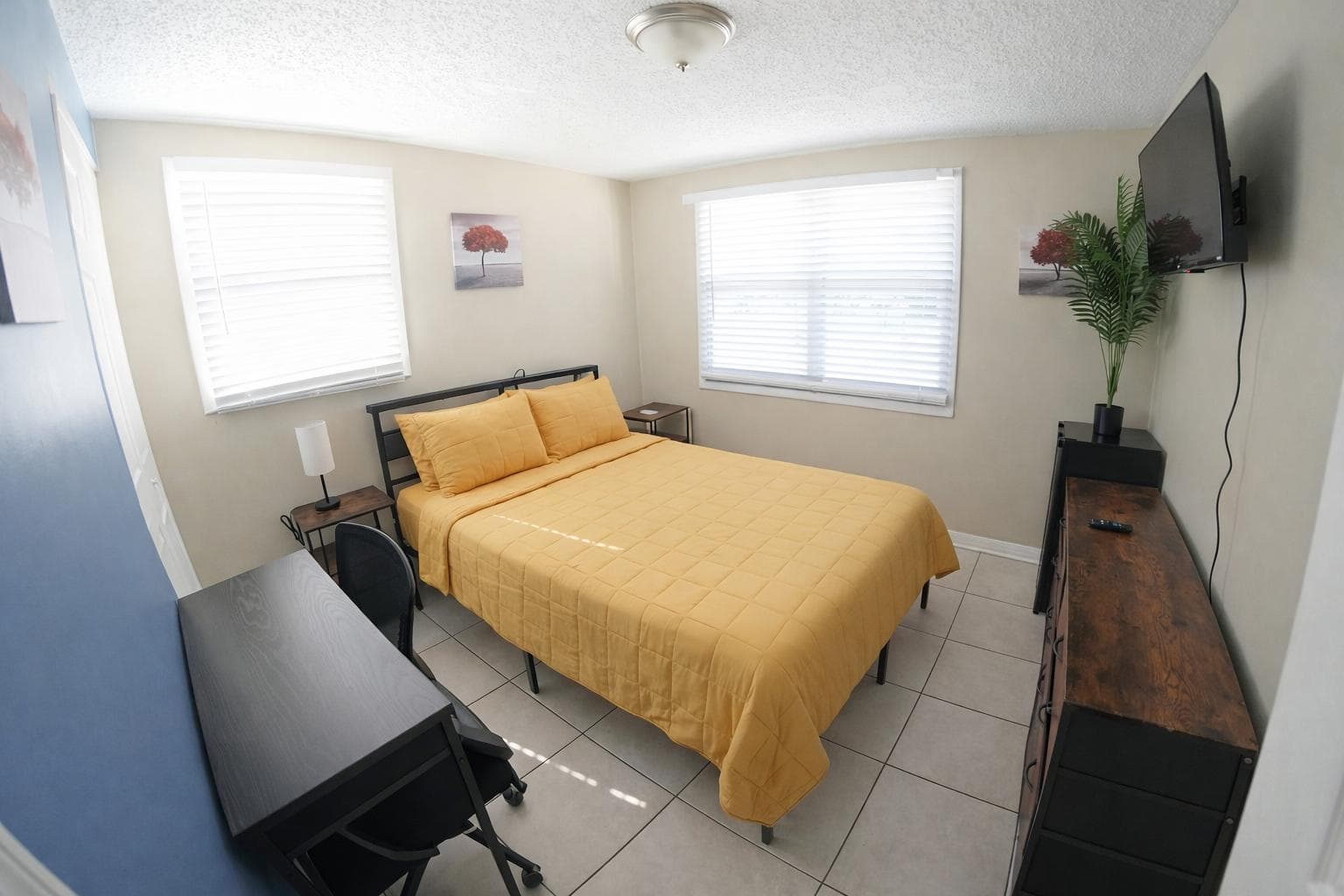 Upgraded Room (Rabbit), Tampa
