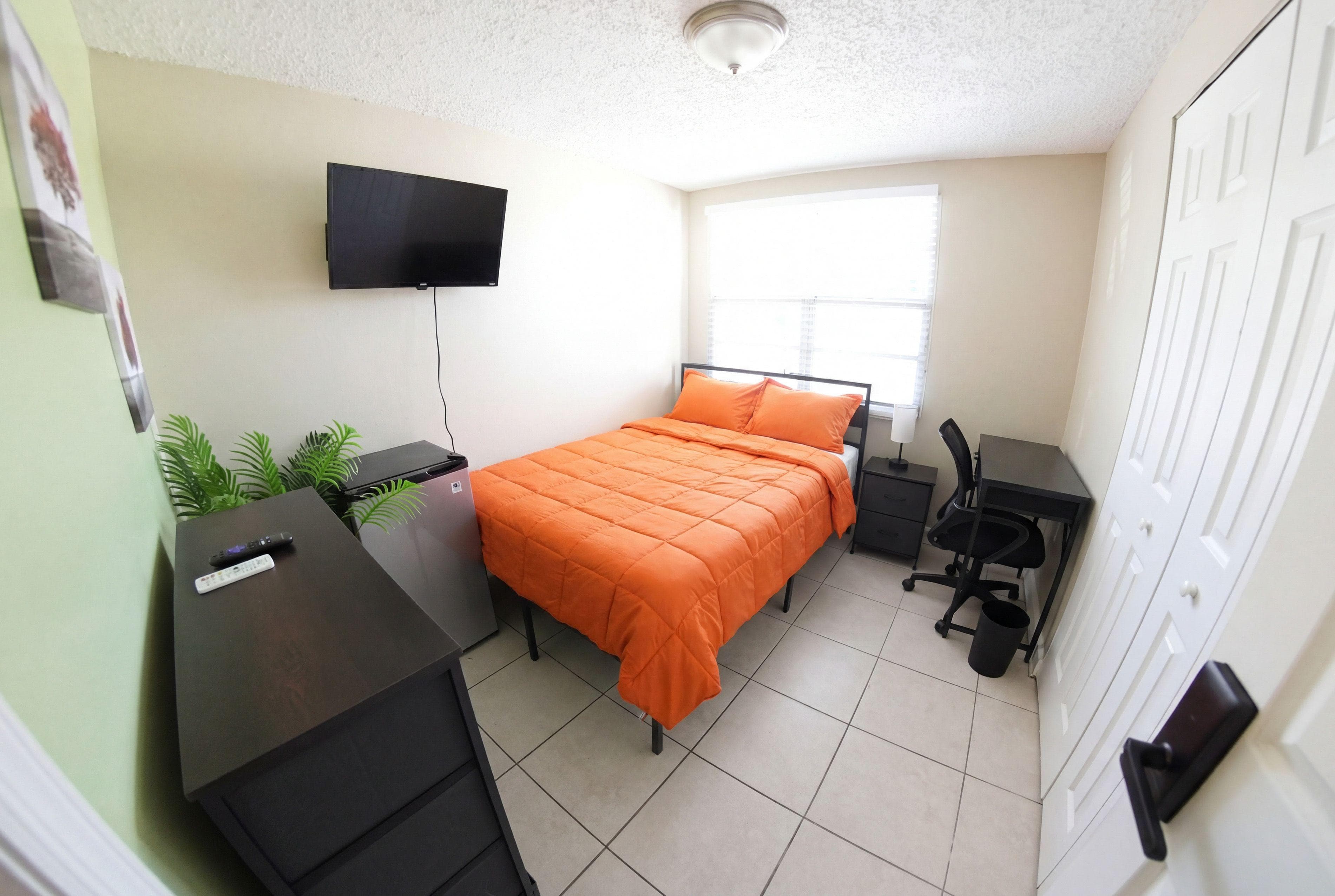 Upgraded Room (Horse), Tampa