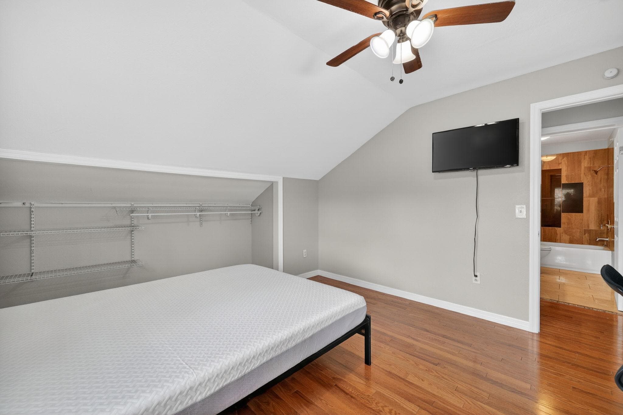 Upgraded Room (Dog), Tampa