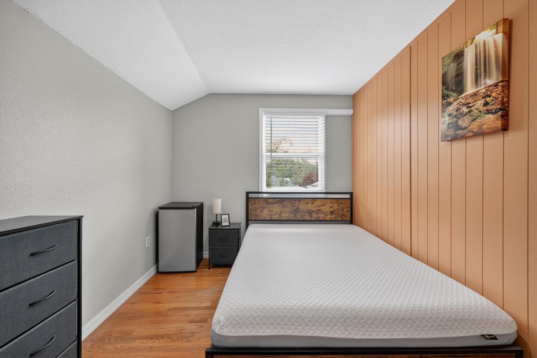 Standard Room (Horse), Tampa