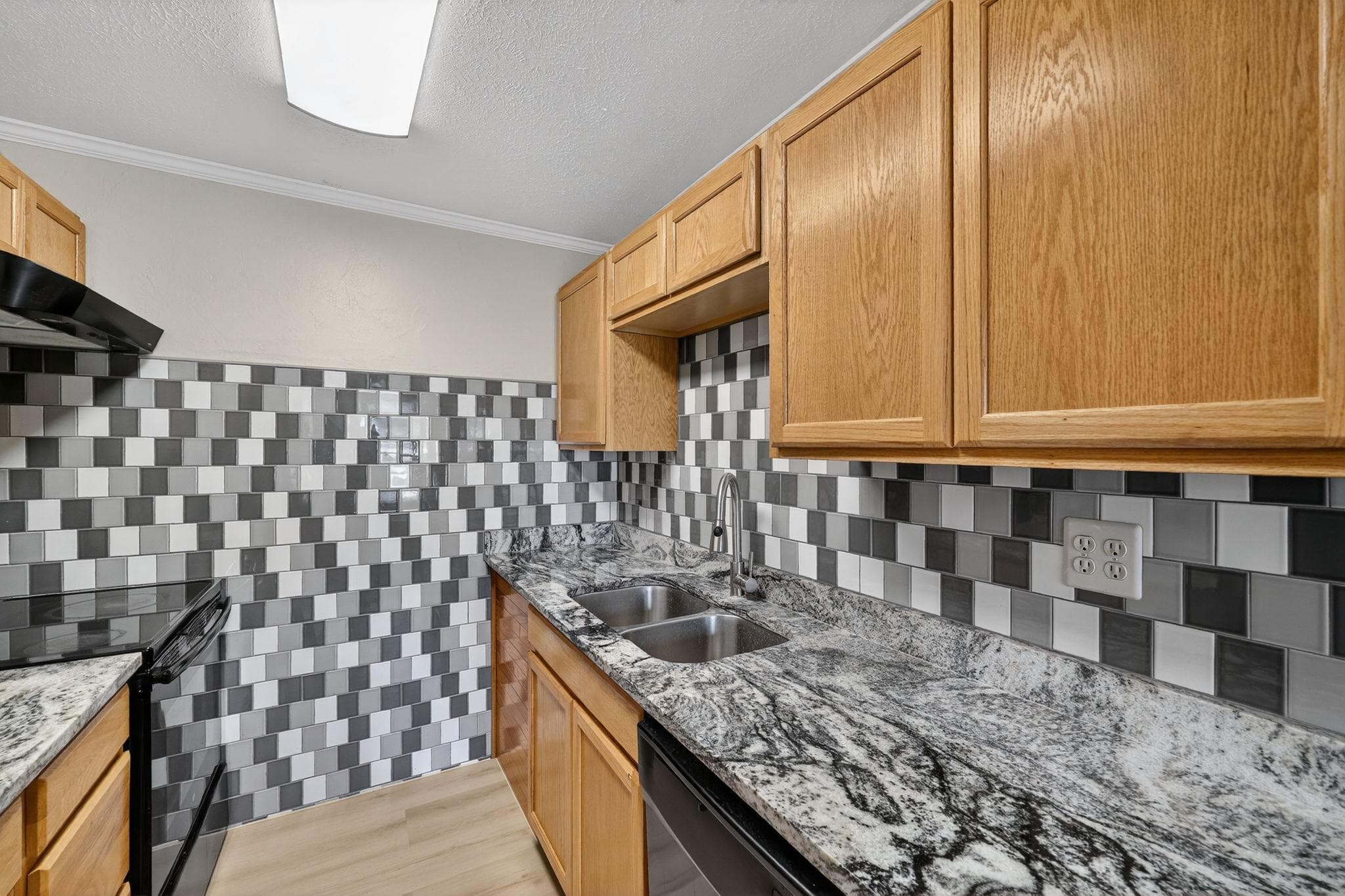Master Private Studio (Rooster), Tampa
