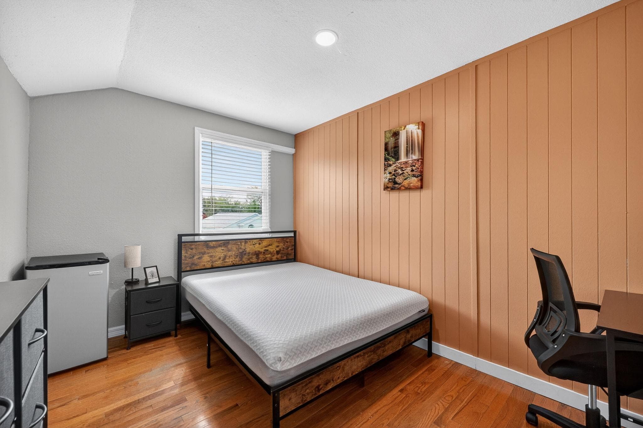 Standard Room (Horse), Tampa