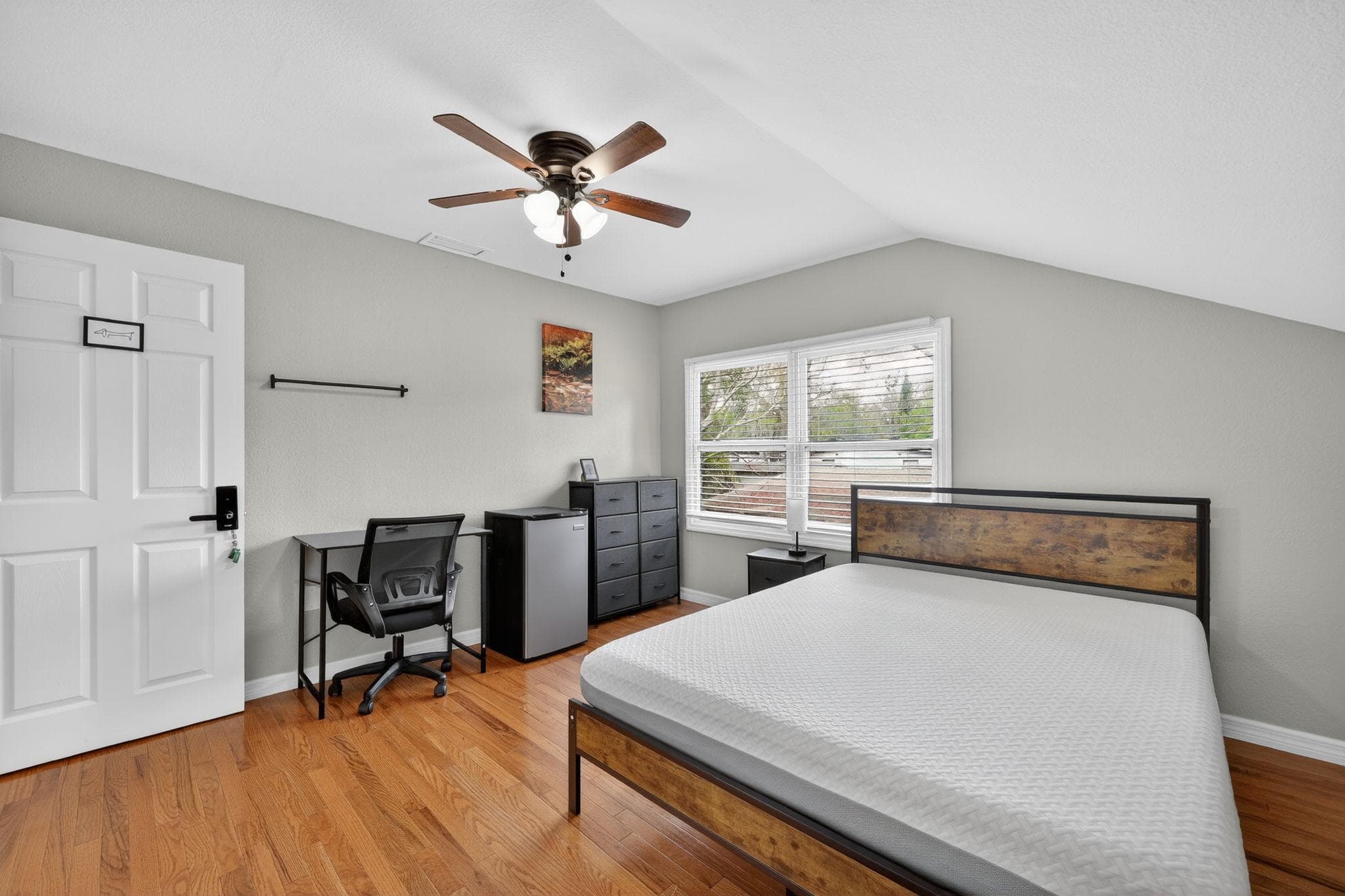 Upgraded Room (Dog), Tampa