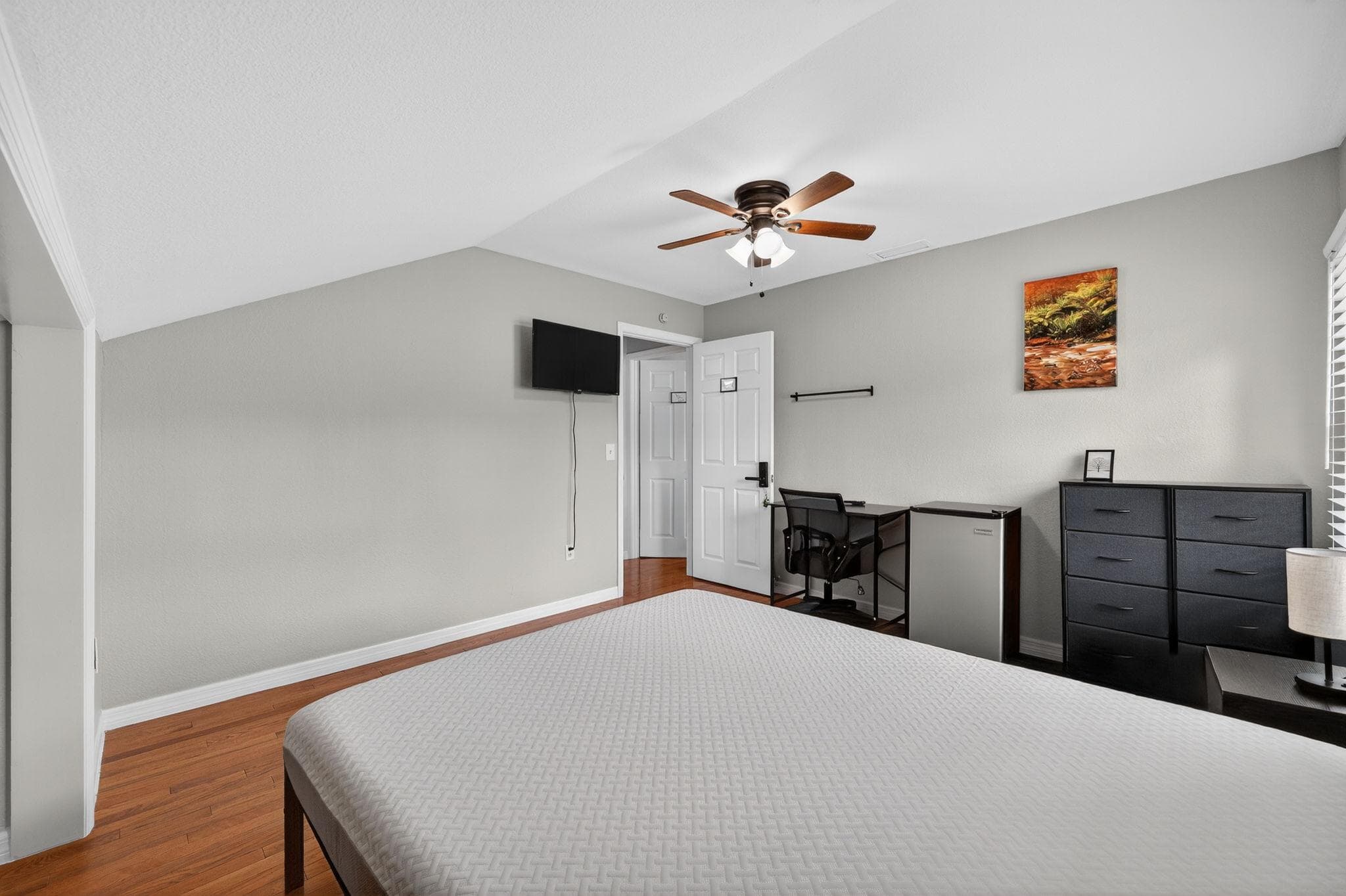 Upgraded Room (Dog), Tampa
