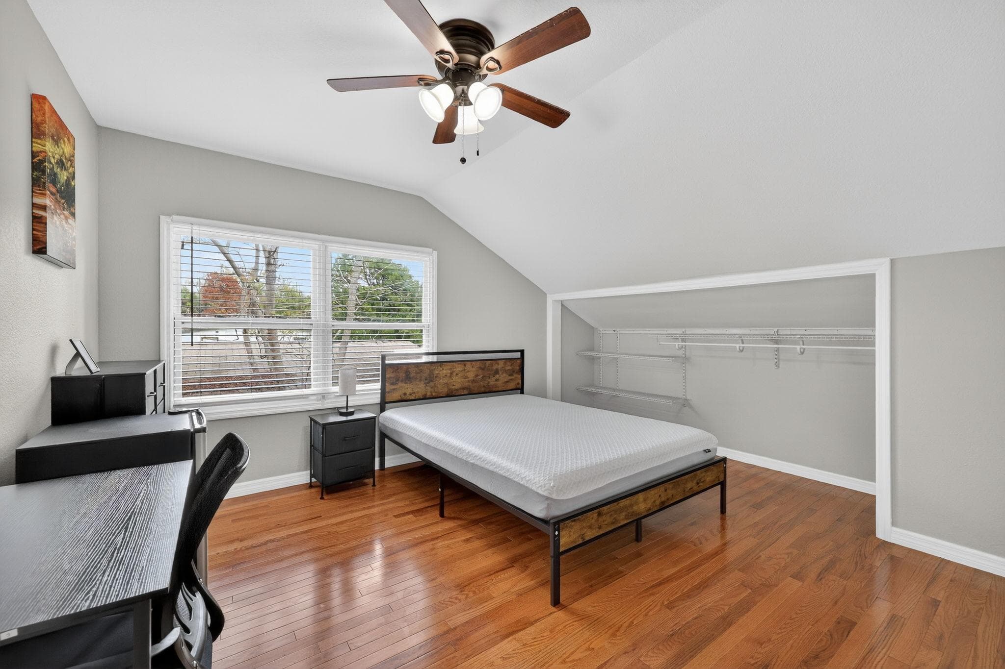 Upgraded Room (Dog), Tampa