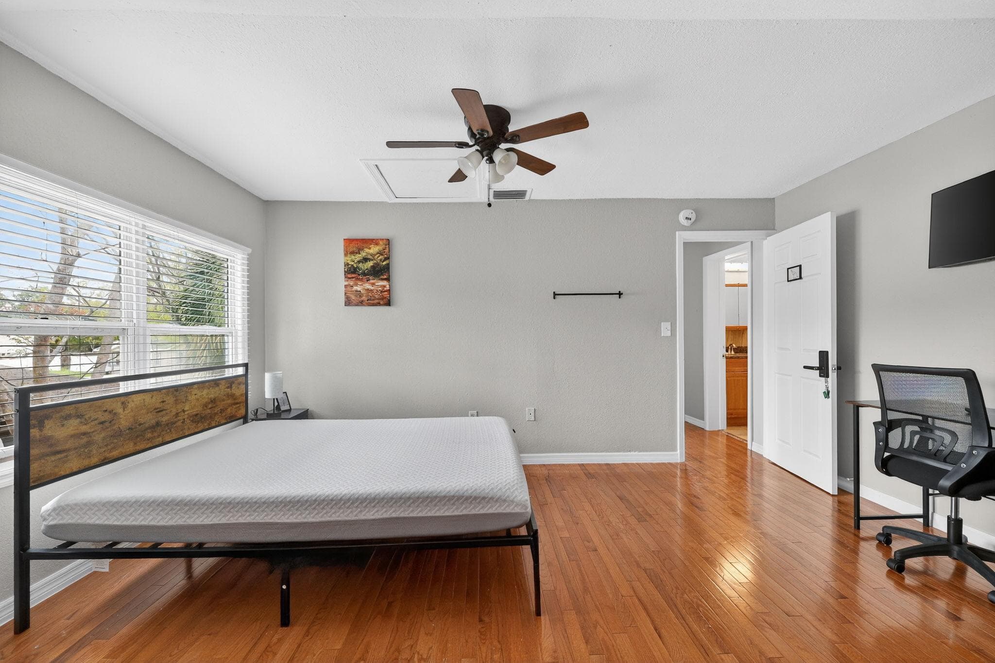 Upgraded Room (Elephant), Tampa