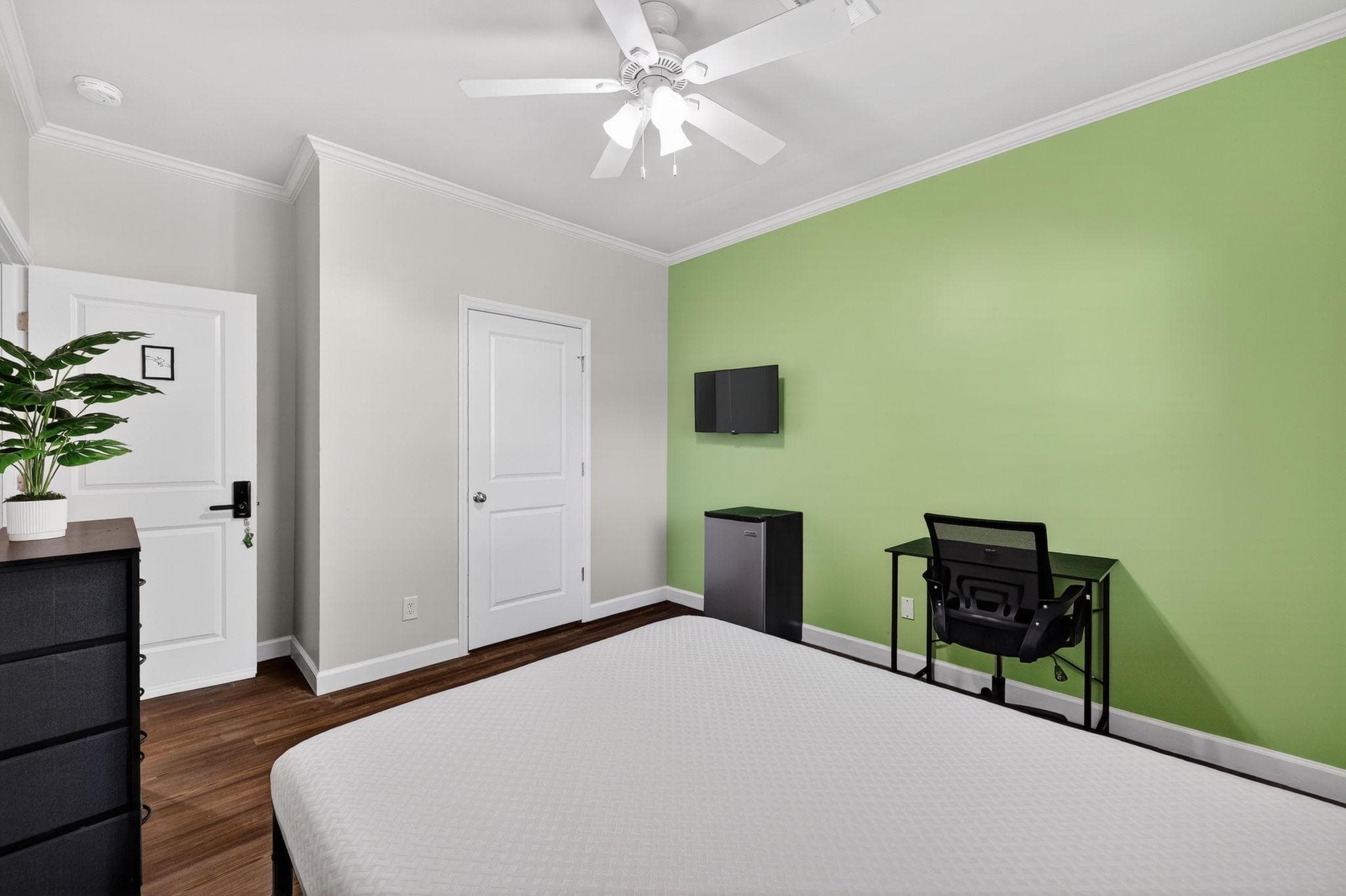 Upgraded Room (Rabbit), St. Petersburg