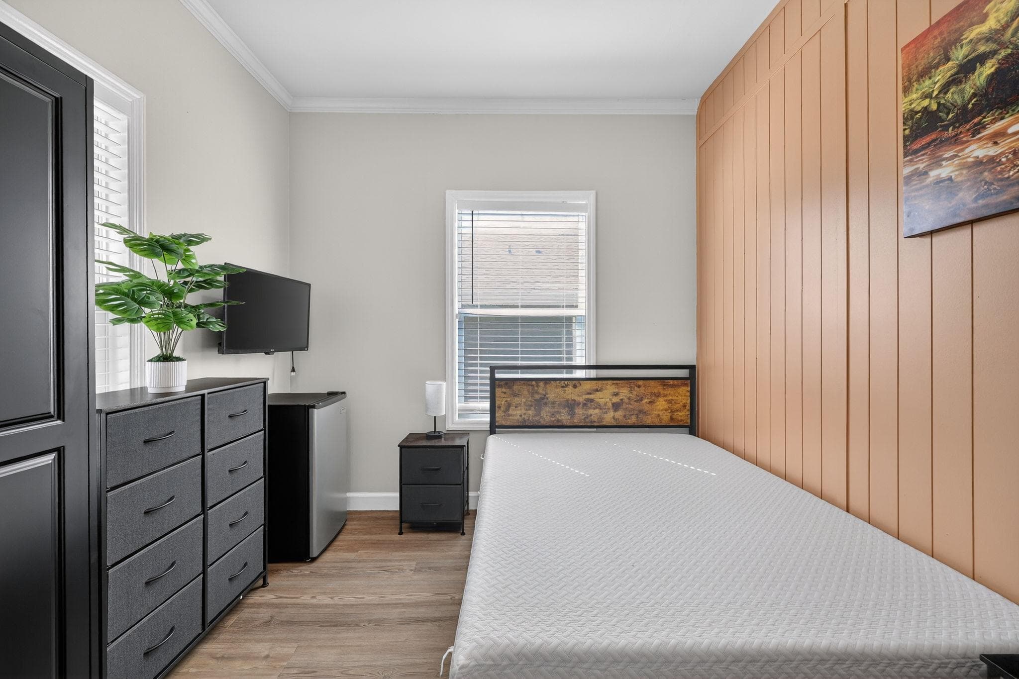 Standard Room (Penguin), St. Petersburg