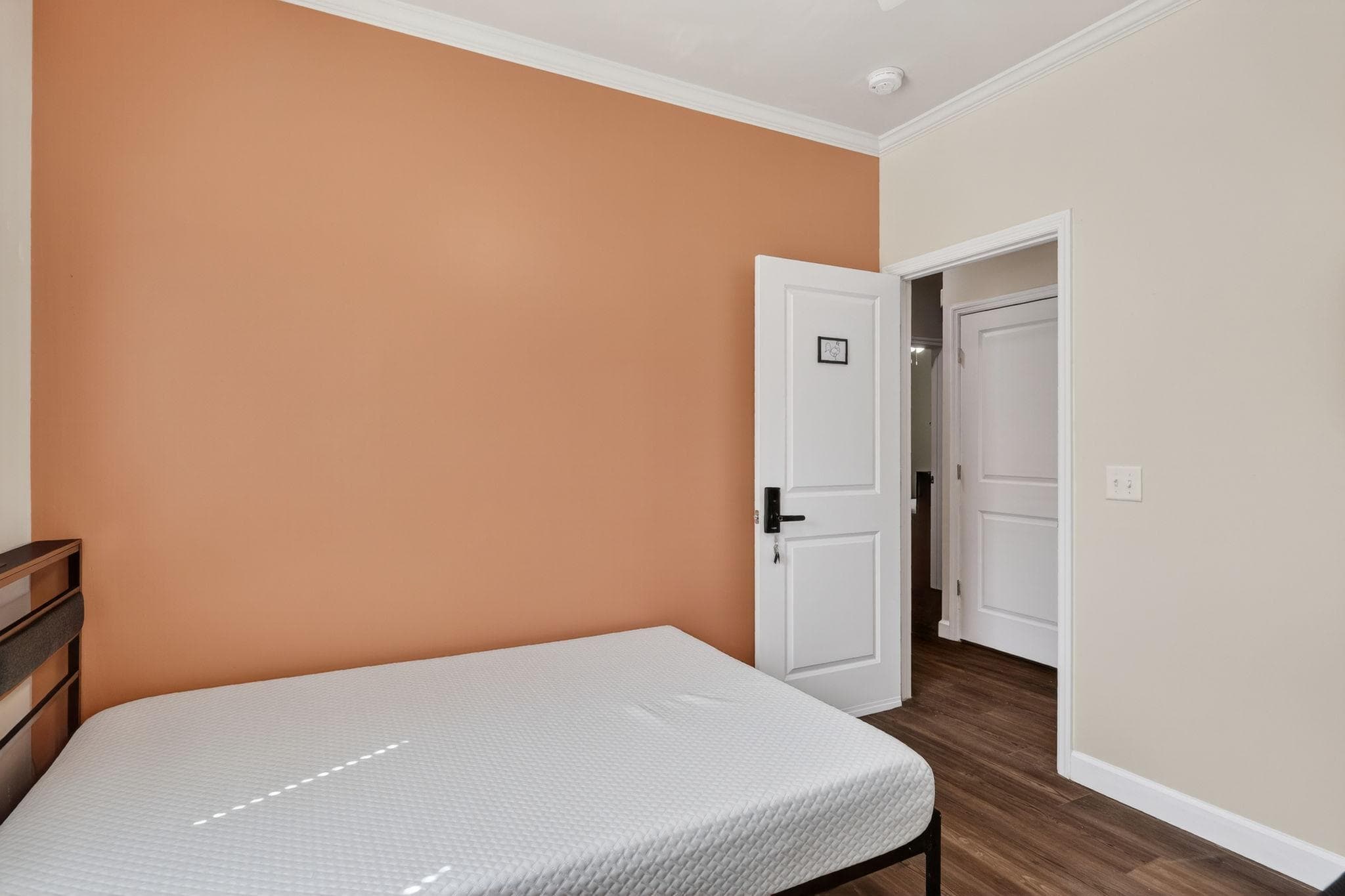 Upgraded Room (Rooster), St. Petersburg