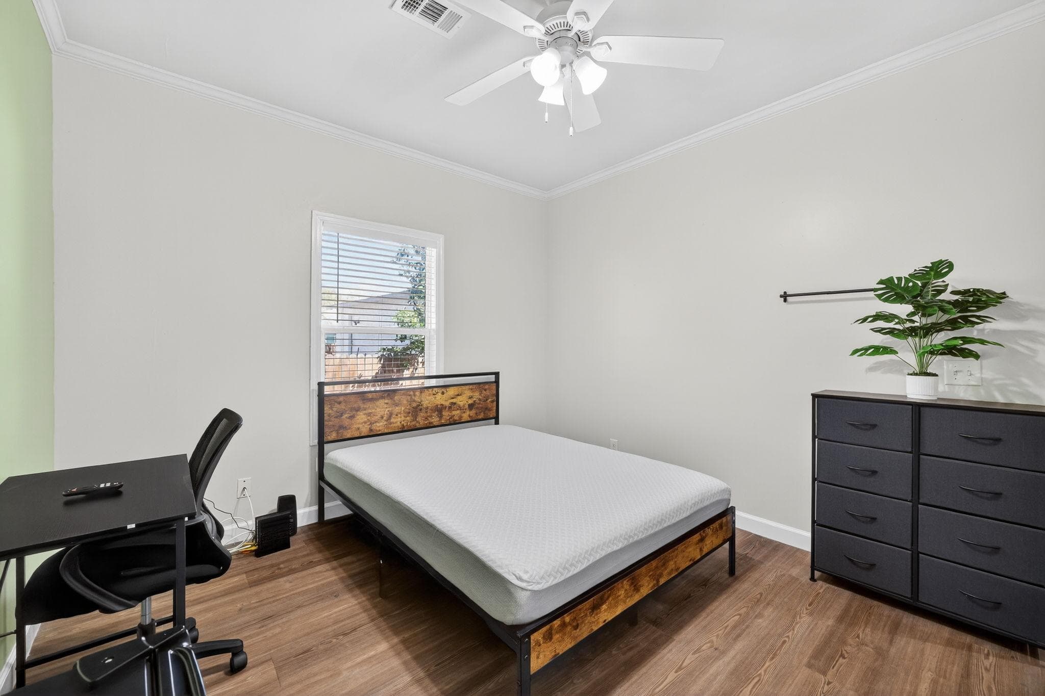 Upgraded Room (Rabbit), St. Petersburg