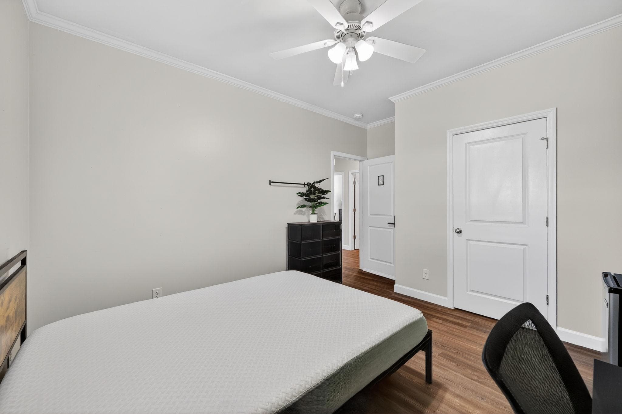 Upgraded Room (Rabbit), St. Petersburg