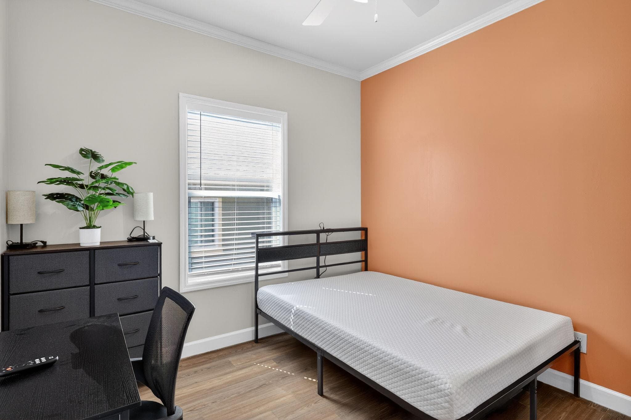 Upgraded Room (Rooster), St. Petersburg