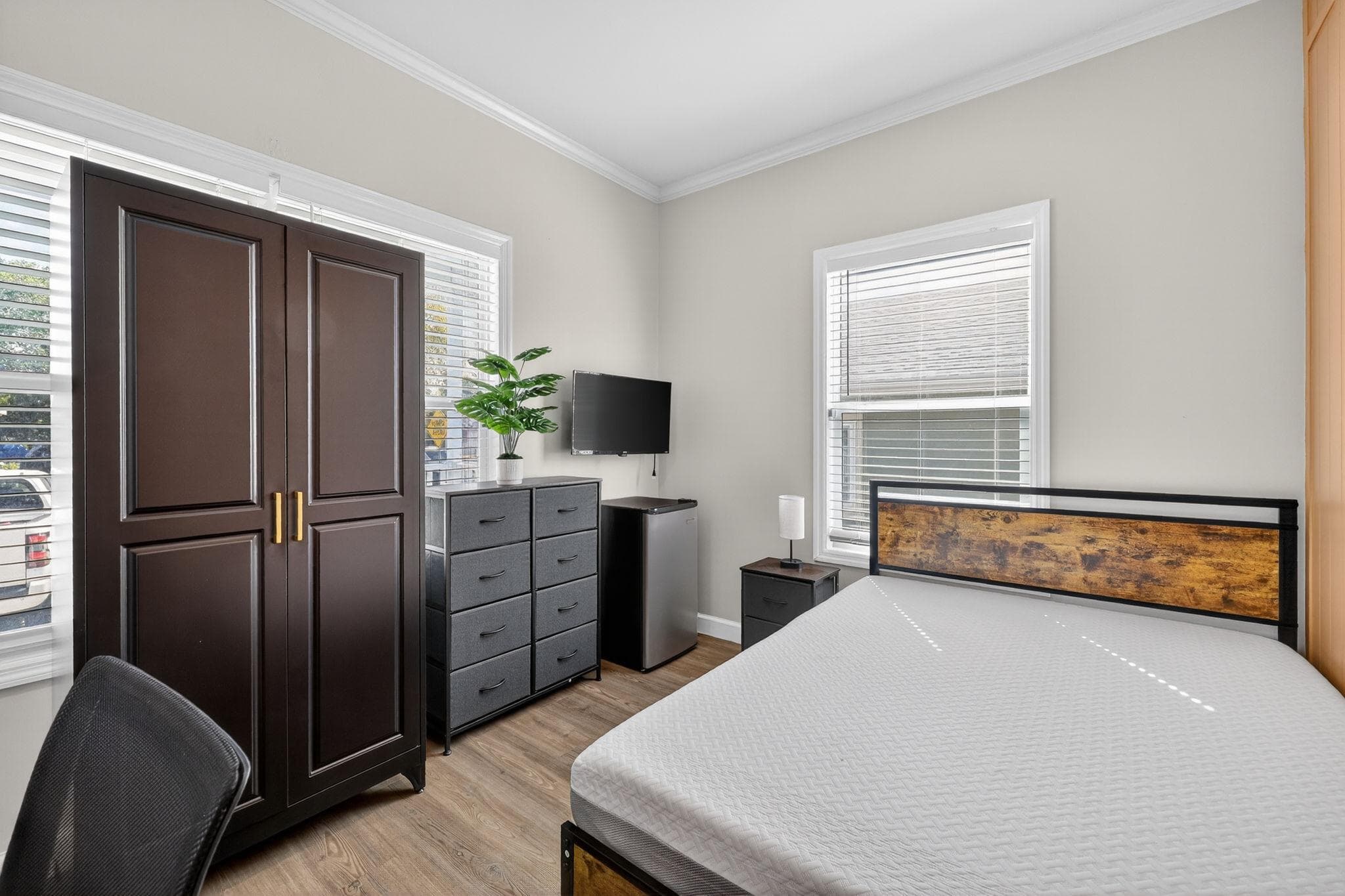 Standard Room (Penguin), St. Petersburg