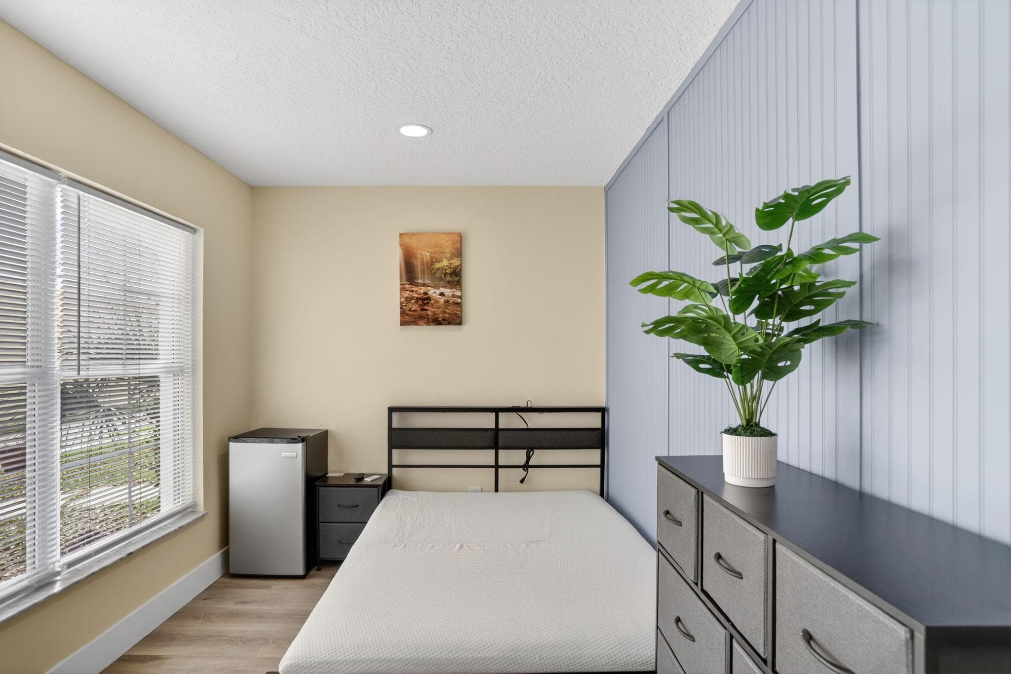 Standard (Butterfly), Orlando