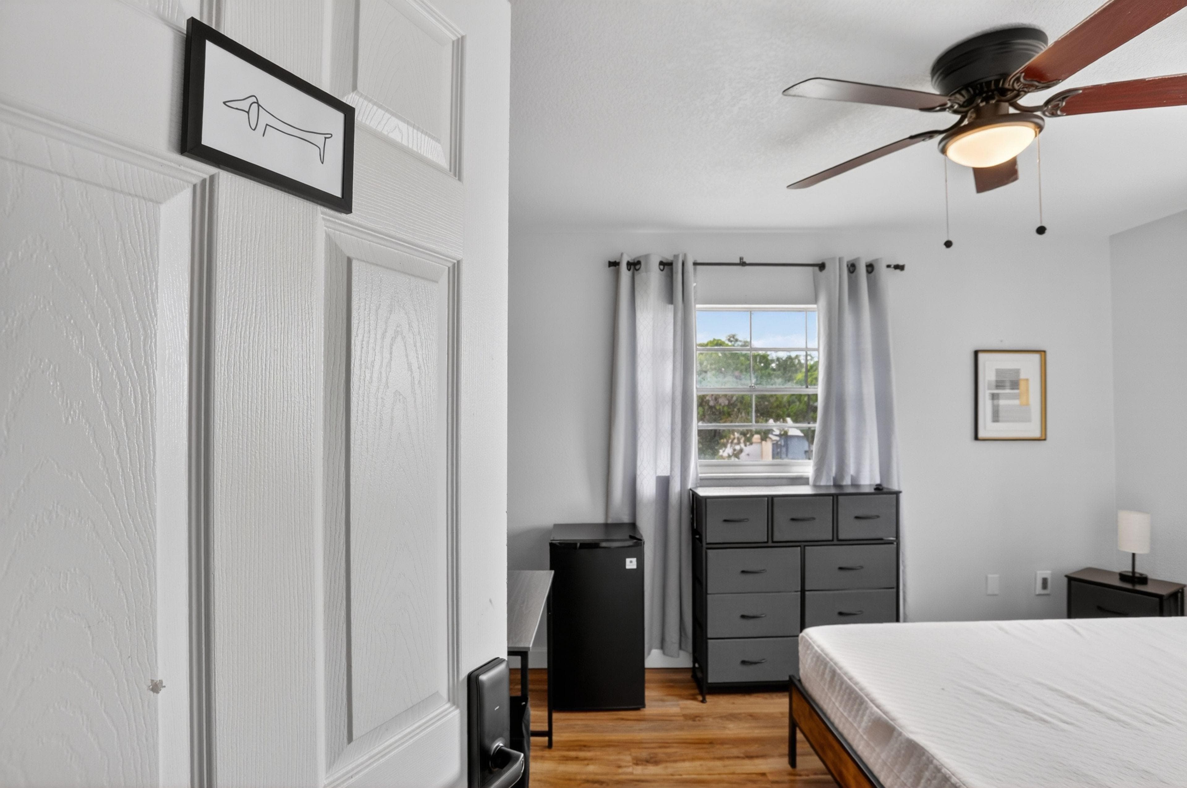 Upgraded Room (Dog), Orlando