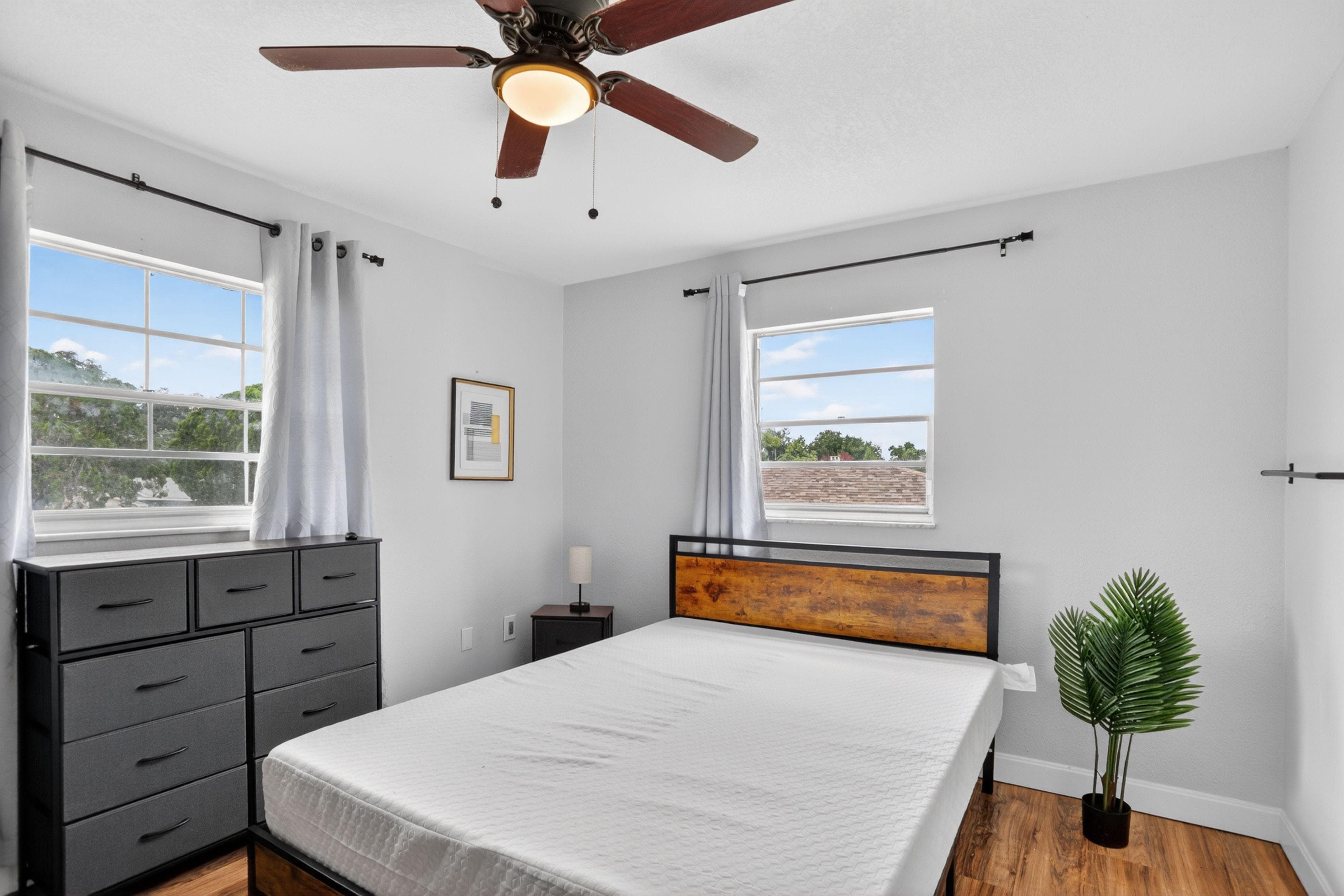 Upgraded Room (Dog), Orlando