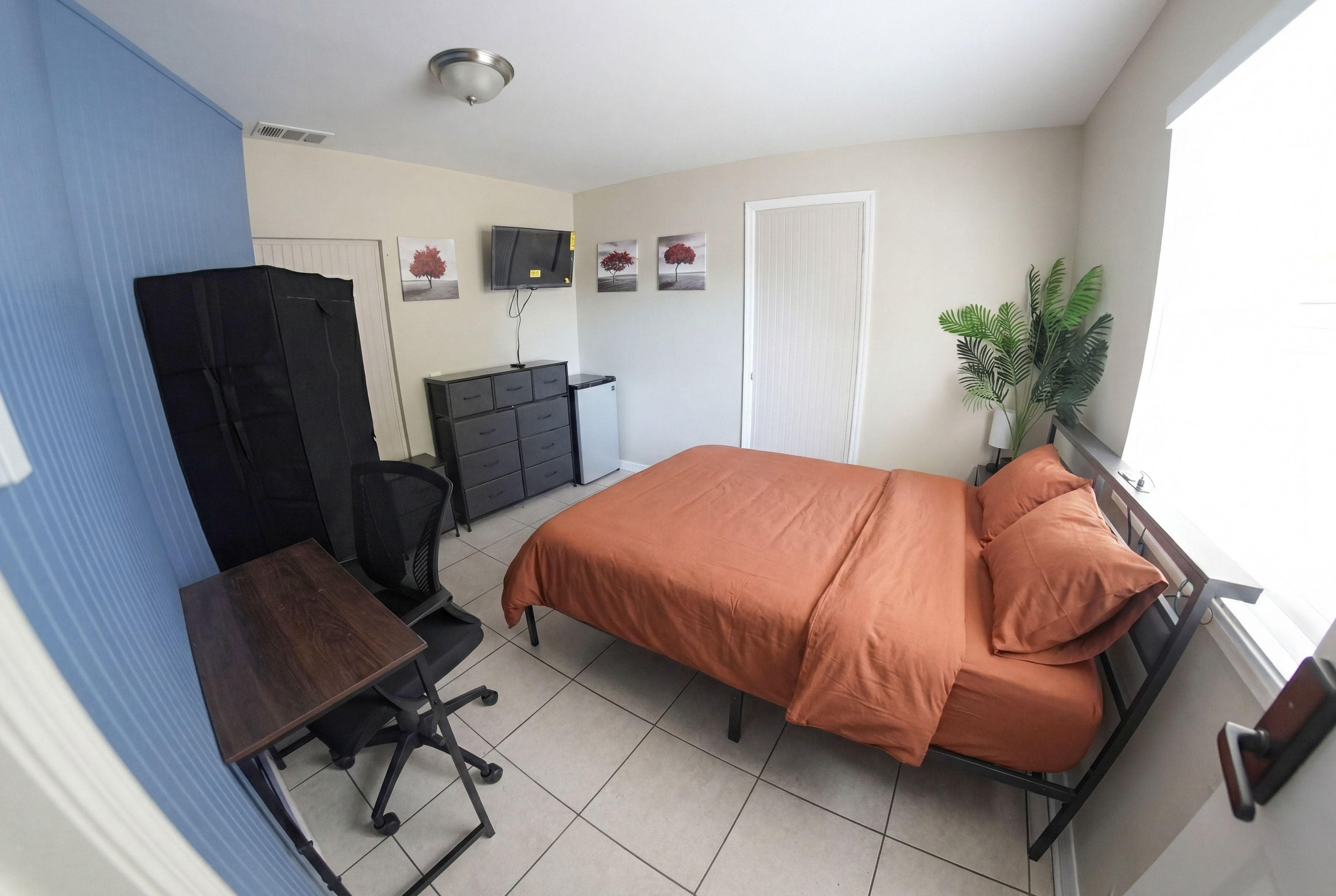 Spacious Room (Butterfly), Tampa