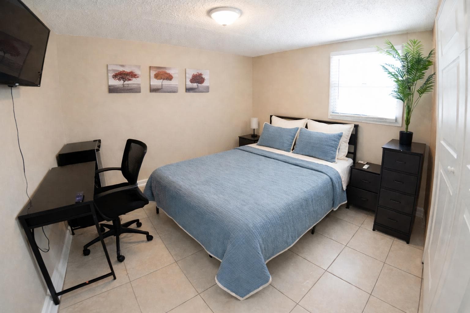 Upgraded Room (Flamingo), Tampa