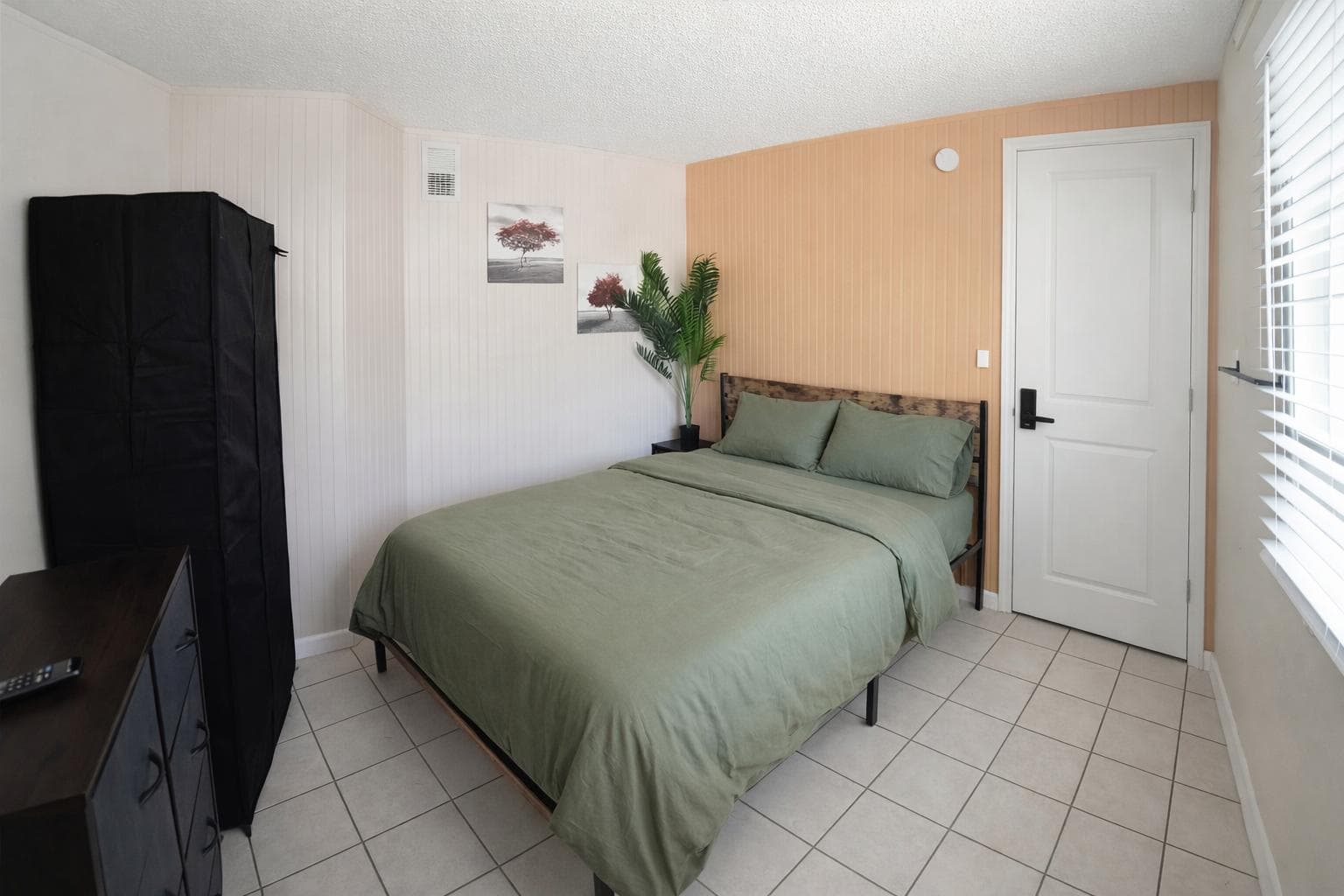 Standard Room (Dog), Tampa
